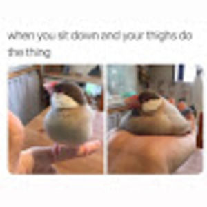 Meet your Posher, Breanna